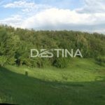 large_237b81d6eeba4afa9dd06bb9573721cf