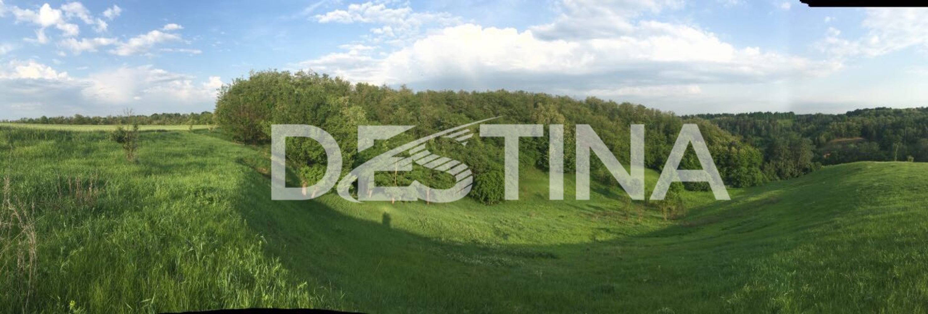 large_237b81d6eeba4afa9dd06bb9573721cf