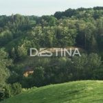 large_27577e942ce9405fad7e2611c82282e8 — копия