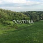 large_67482c4a7e9543cf88054194a493534f — копия