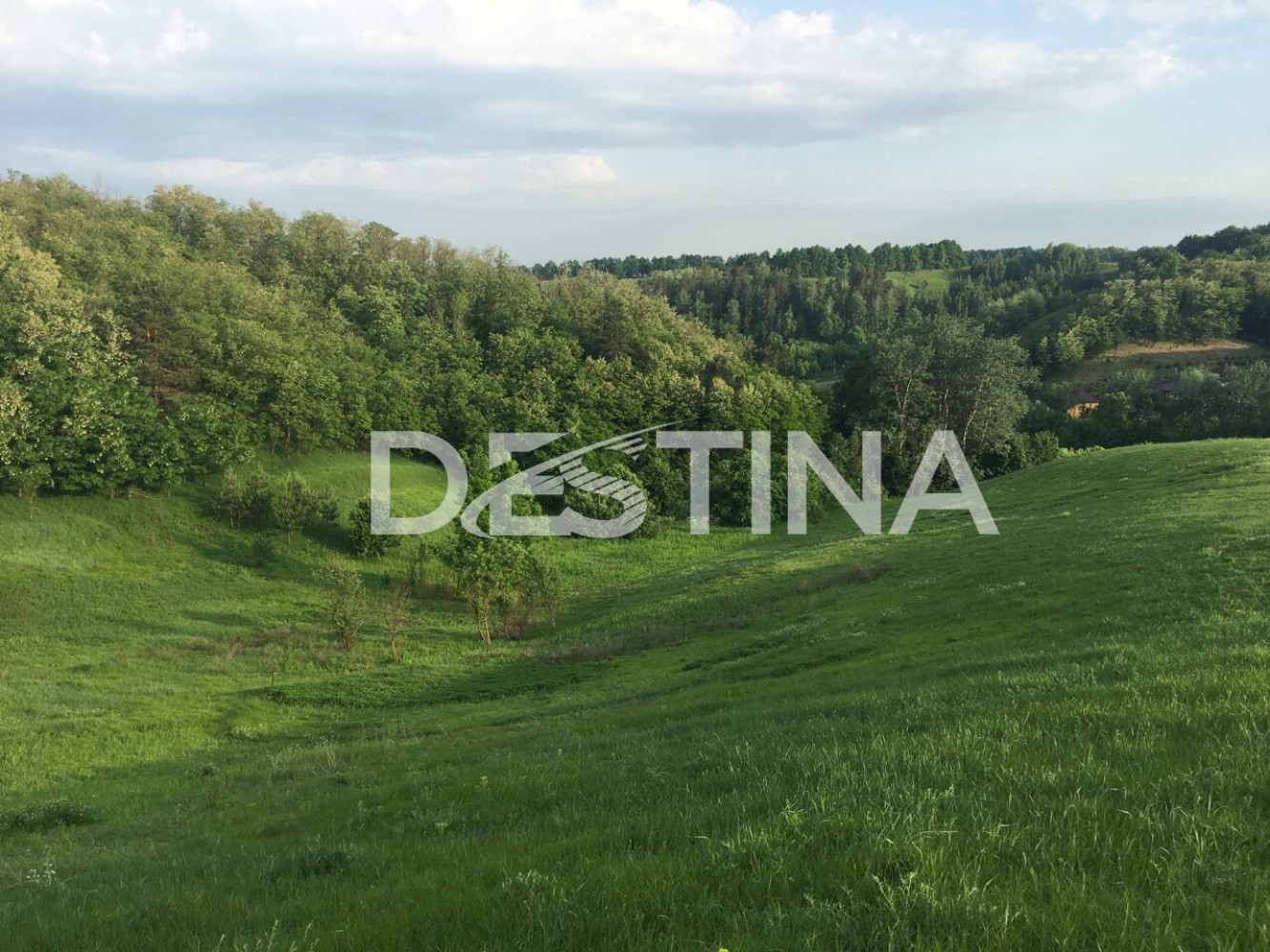 large_67482c4a7e9543cf88054194a493534f — копия