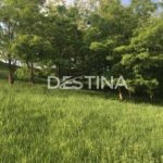 large_6ea9e4f4b00841a78d37d1317f60601c — копия