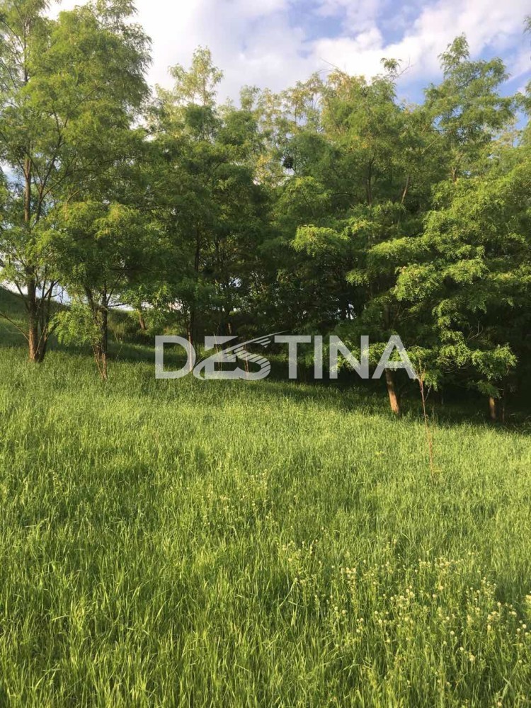 large_6ea9e4f4b00841a78d37d1317f60601c — копия