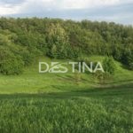 large_7fdce2d2a67e4ebe9a40ea801488c117