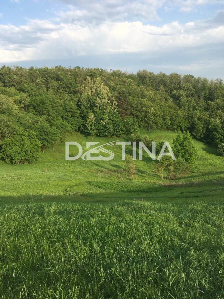 large_7fdce2d2a67e4ebe9a40ea801488c117