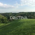 large_80f653ae10f540479db9b8bf8b143129 — копия