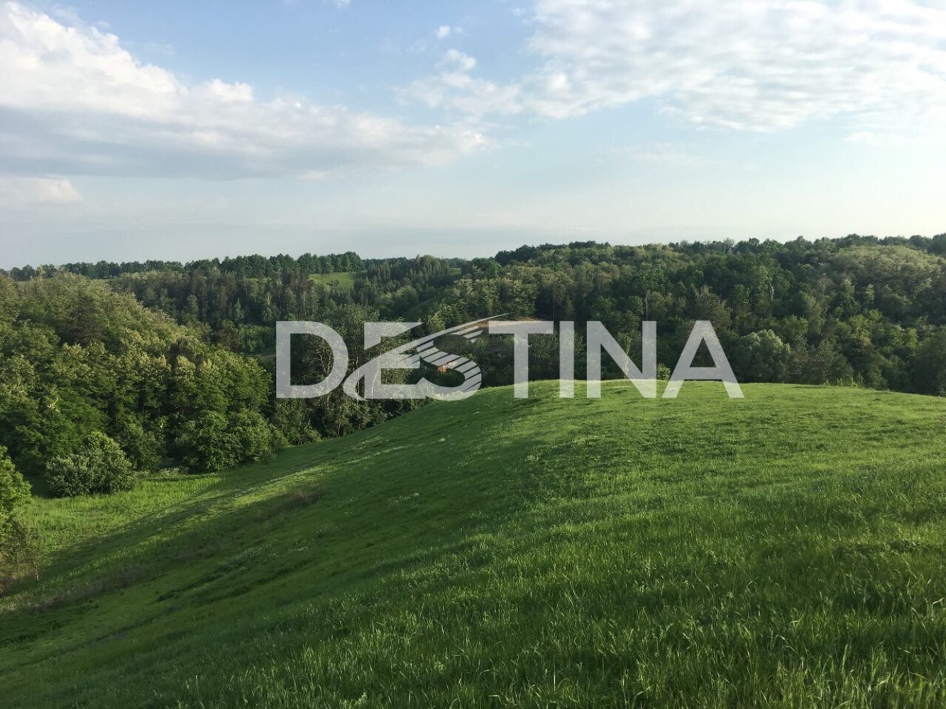 large_80f653ae10f540479db9b8bf8b143129 — копия